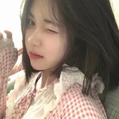 鬣狗之路